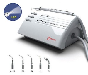 SKALER UDS-P LED ZE ŚWIATŁEM WOLNISTOJĄCY WOODPECKER