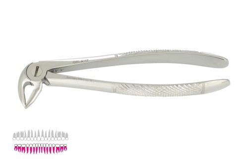 b3885aa77cf66983a9e133c4efc8a3e7