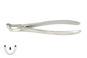 ROY-A140, KLESZCZE EKSTARKCYJNE BERTEN FIG. 79 A