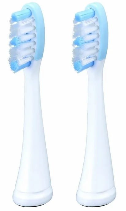 16508