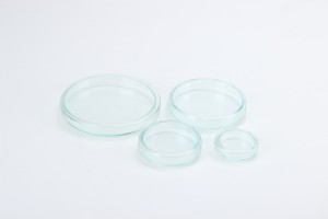 Szalka Petriego 80mm x 15 mm