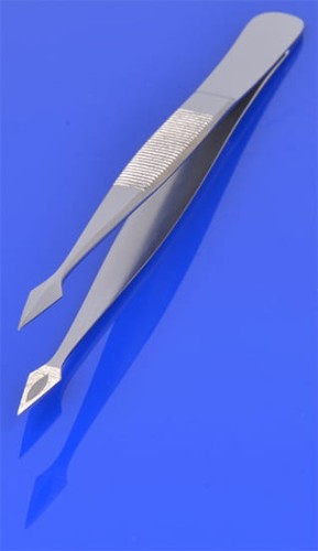 1391-001.jpg