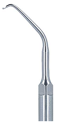Końcówki do skalera ENDO Woodpecker ED11.png